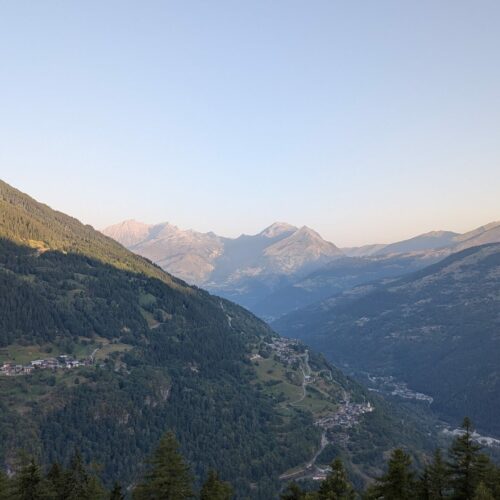 PXL_20250813_052434864 PXL_20250813_052434864